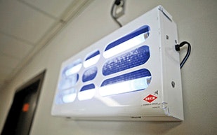 Breathtaking Fly Lights For Kitchens Wunderbar Commercial