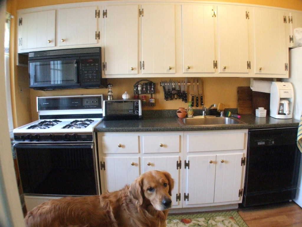 Superb Kitchen Cabinets Perth Amboy Nj Wholesale Reviews Discount Newark 1024x768